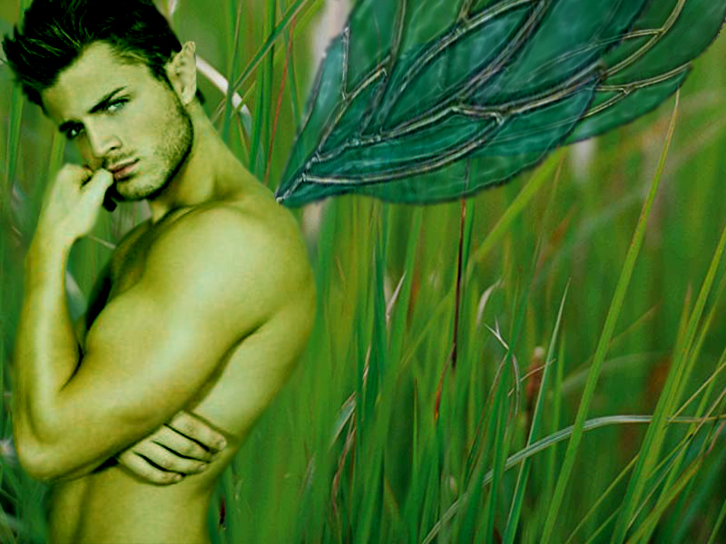Illustration for article titled Boy Faeries